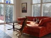 Enlarge photo 75