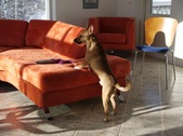 Enlarge photo 78