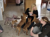 Enlarge photo 63