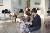 Enlarge photo 25
