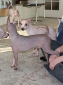 Enlarge photo 27