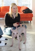 Enlarge photo 29