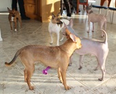 Enlarge photo 37