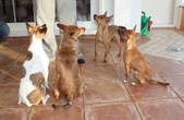 Enlarge photo 46