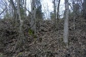 Enlarge photo 234