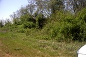 Enlarge photo 201