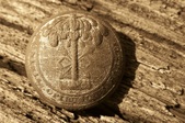 Enlarge photo 352