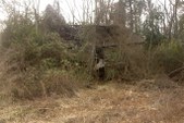 Enlarge photo 196