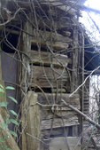 Enlarge photo 200