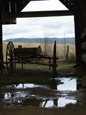 Enlarge photo 275