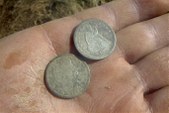 Enlarge photo 195