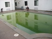 Enlarge photo 32