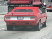 Enlarge photo 50