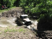 Enlarge photo 97