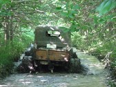 Enlarge photo 99