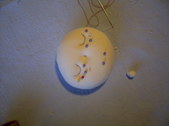 Enlarge photo 122