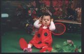 Enlarge photo 161