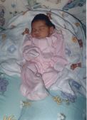 Enlarge photo 55