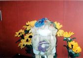 Enlarge photo 51
