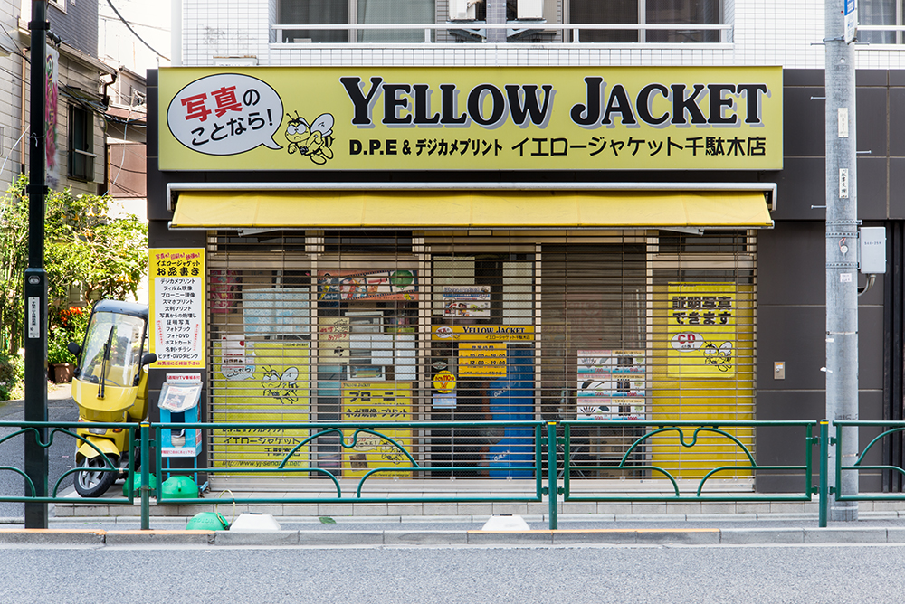 Yellow-Jacket.jpg