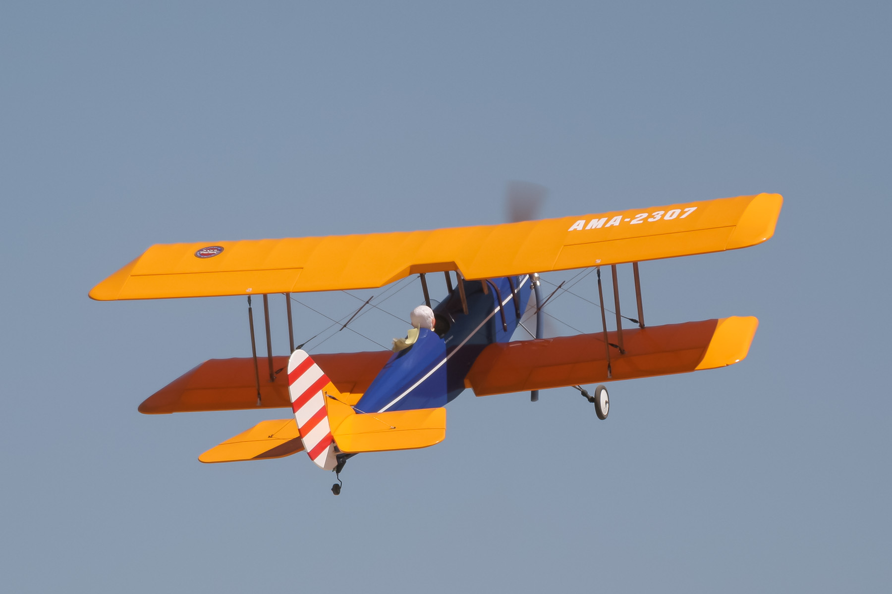 20D60951.jpg