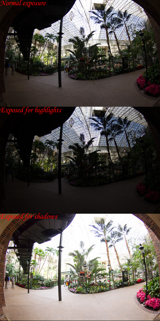 9045%20exposures.jpg
