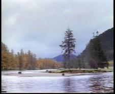 Enlarge MPEG 11