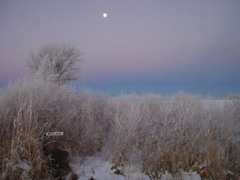 Enlarge photo 33