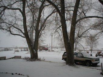 Enlarge photo 10