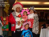 Enlarge photo 72