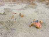 Enlarge photo 18