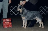 ACD Pictures