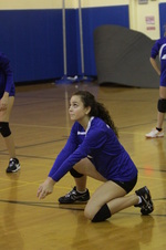 2017 Fall Volleyball