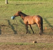 Enlarge photo 18
