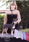 Our past puppies