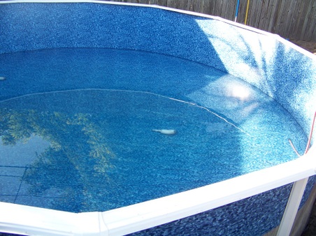 Enlarge photo 5