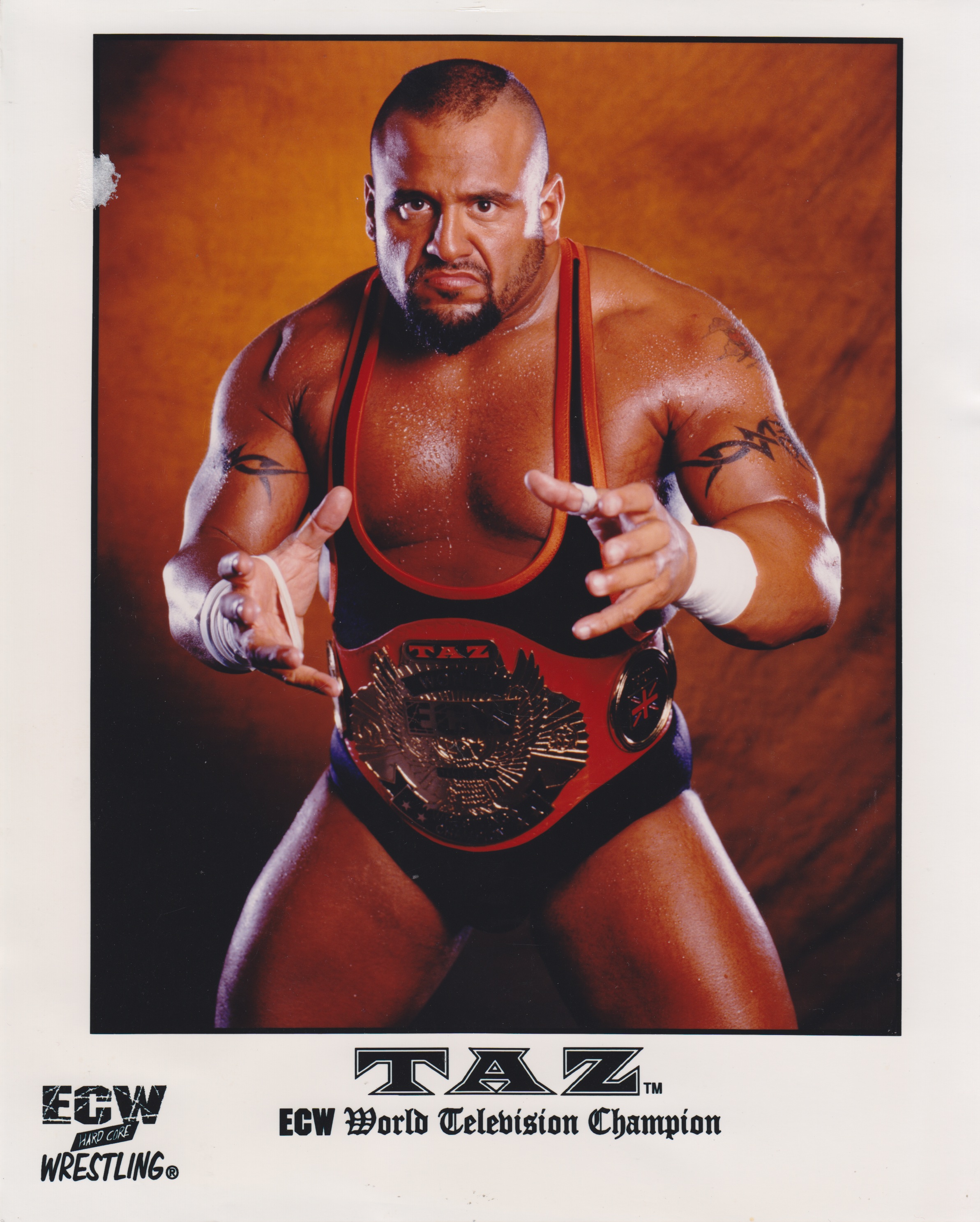 Tazz debut wwe