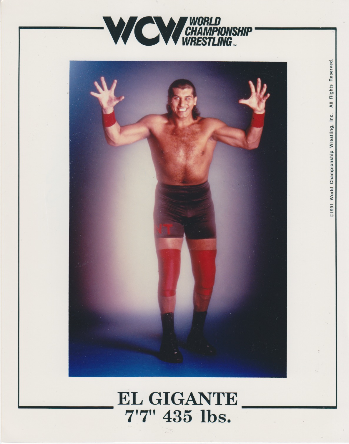 1991%20wcw%20gigante.jpeg