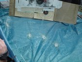 Enlarge photo 57