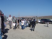 Enlarge photo 31