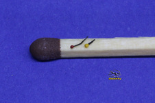 Enlarge photo 55