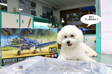 Enlarge photo 1