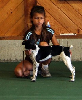 Tanaga Pups in Forever Homes
