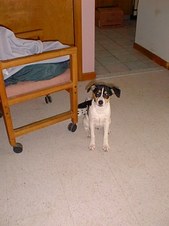 Enlarge photo 4