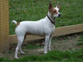 DOTTIE (9-30-2005)