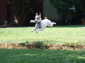 Enlarge photo 5