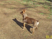 Enlarge photo 6