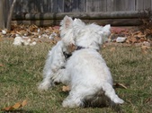 Enlarge photo 37