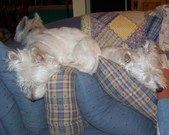 Enlarge photo 31