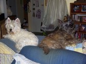 Enlarge photo 15
